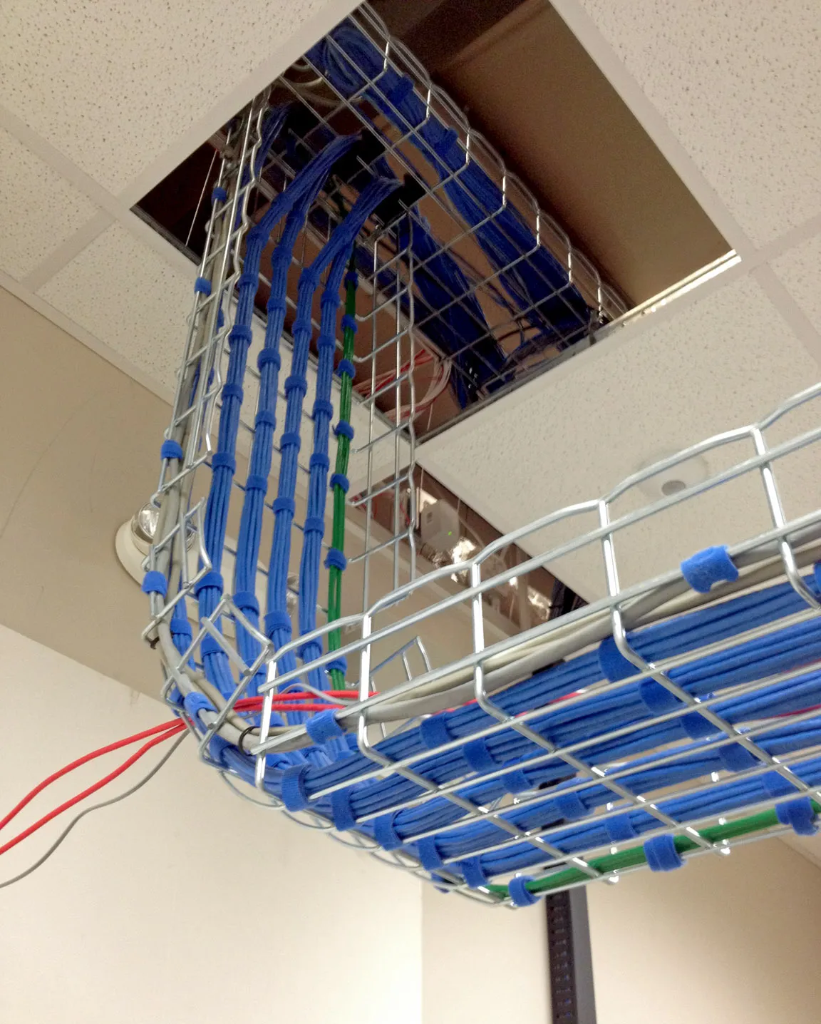 View into a ceiling cable basket tray carrying bundled network cables